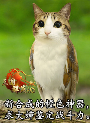 三国群英HD