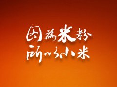 小米模式走俏之下 手游开发如何转型